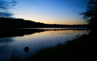 2025年11月16日湖南省莴笋批发价格行情