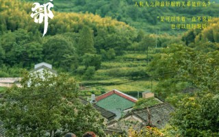《云边有个小卖部》蝉联日冠 《海关战线》累计票房突破8000万
