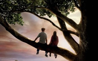 豆瓣评分9.1青春爱情电影《怦然心动》基本信息介绍