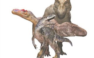 考古学家发现暴龙类新种恐龙