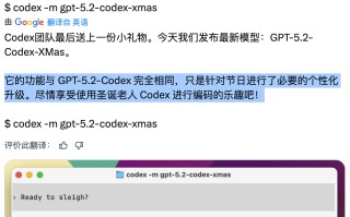 OpenAI 发布圣诞特别版模型：GPT-5.2-Codex-XMas