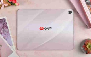 学生党必备！OPPO Pad Air5柔光版上手：把学习这件事变轻松了