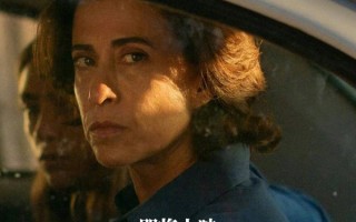 《我仍在此》内地定档：奥斯卡最佳国际影片，一位母亲的史诗级抗争