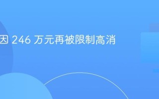 王自如因 246 万元再被限制高消费