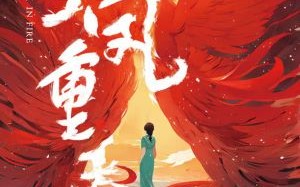 新片上映预告
