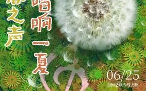 新片上映预告