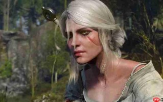 作为连接新作的“桥梁”！ 《巫师3》或将推出新DLC