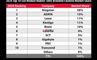 金士顿位居2024年固态硬盘渠道出货量排行榜榜首