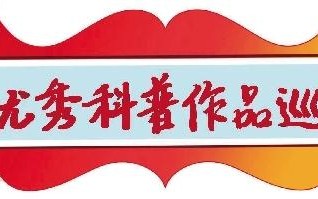 安全是给孩子最好的礼物