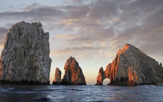 2025年11月16日湖南省籼米批发价格行情