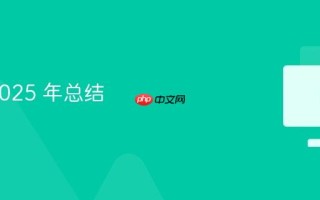 Spin 2025 年总结