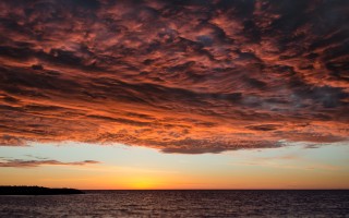 2025年11月16日湖南省茄子批发价格行情